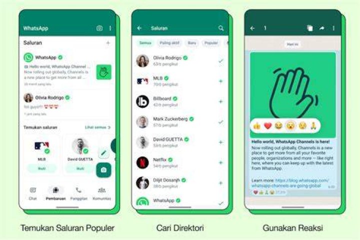 Ilustrasi Whatsapp